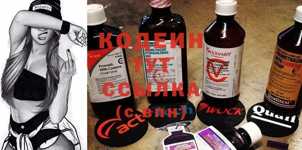 apvp Алзамай