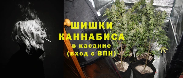 apvp Алзамай