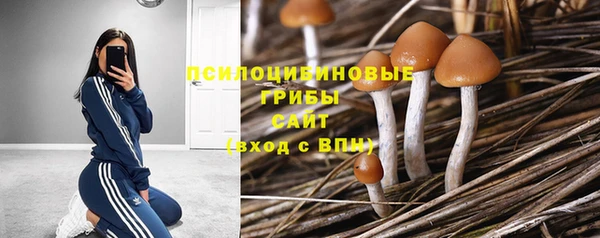 прущие крисы Приозерск